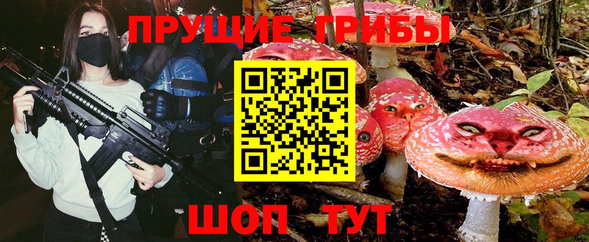 Псилоцибиновые грибы мицелий Советск