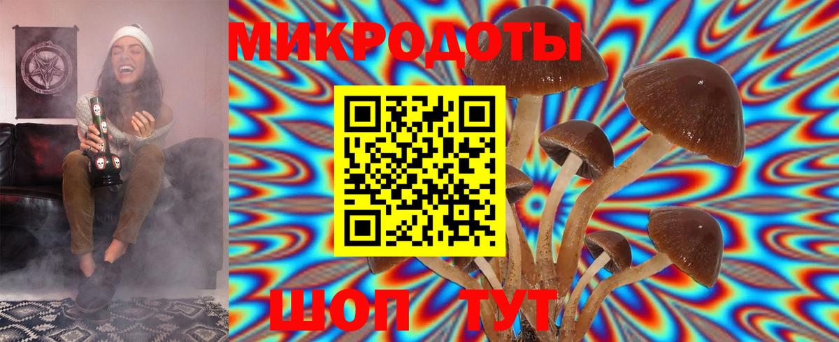 Псилоцибиновые грибы прущие грибы  Псилоцибиновые грибы Magic Shrooms  Советск  Вход с VPN 